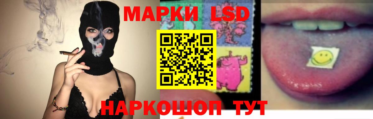 Лсд 25 экстази  LSD-25 экстази ecstasy  Новозыбков  Вход с VPN  Лсд 25 экстази ecstasy 