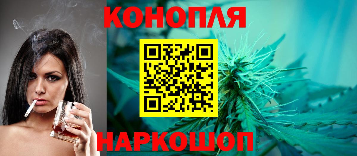 Бошки Шишки MAZAR Новозыбков